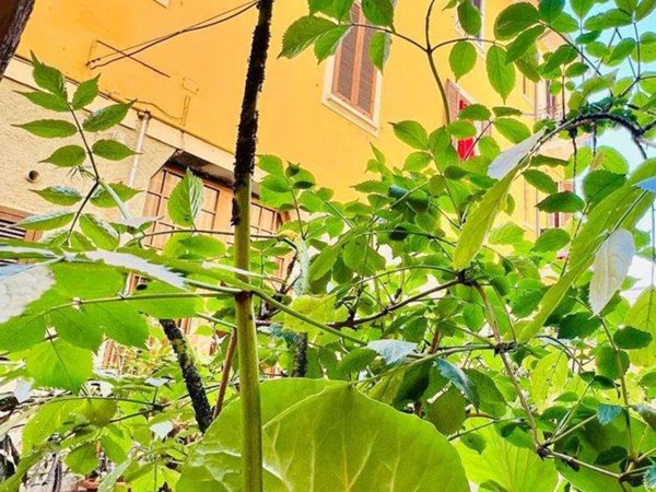 appartamento in vendita a Milano in zona Villapizzone