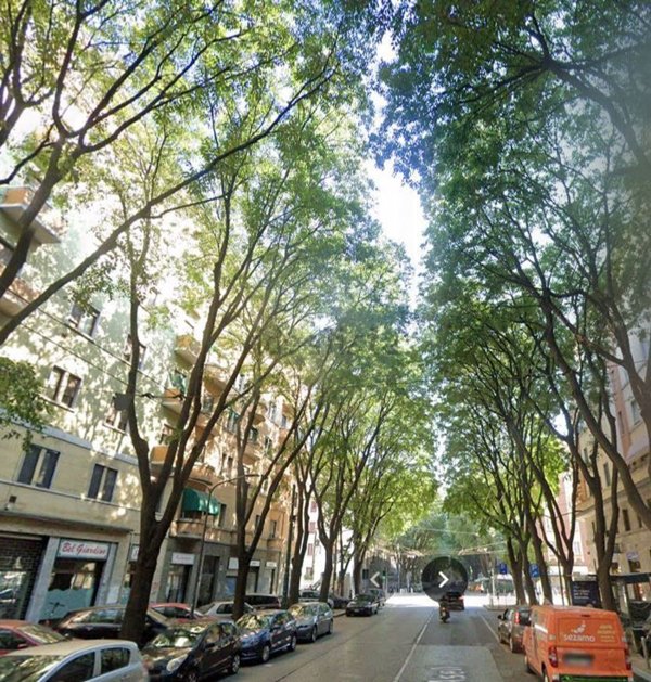 appartamento in vendita a Milano in zona Città Studi