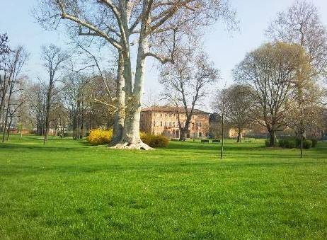 appartamento in vendita a Milano in zona Affori