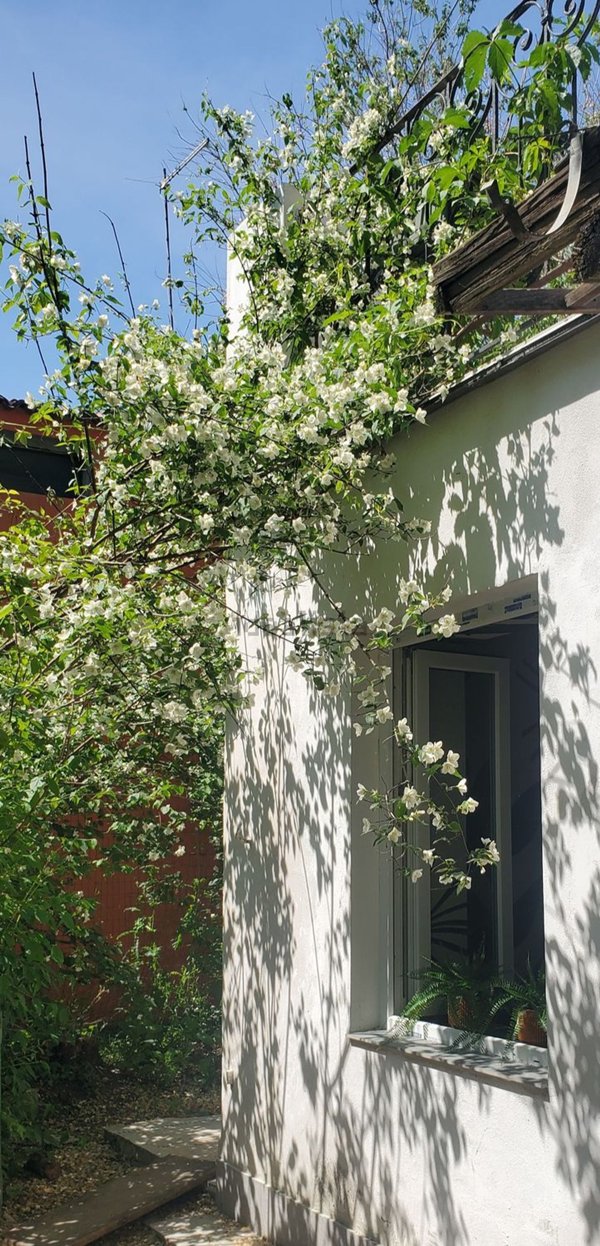 casa indipendente in vendita a Milano in zona Gratosoglio