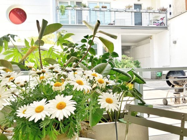 appartamento in vendita a Milano in zona Barona