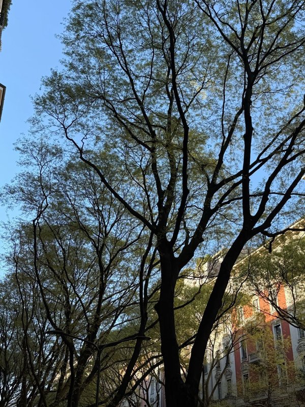 appartamento in vendita a Milano in zona Città Studi