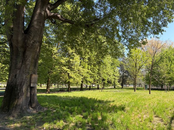 appartamento in vendita a Milano in zona Ghisolfa