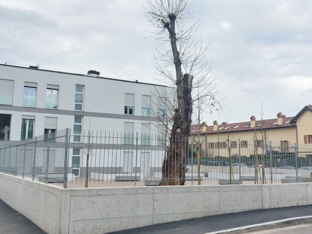negozio in vendita a Milano in zona Adriano