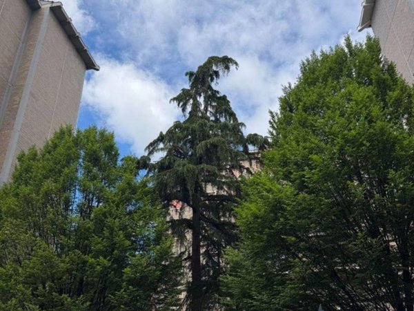 appartamento in vendita a Milano in zona Bicocca