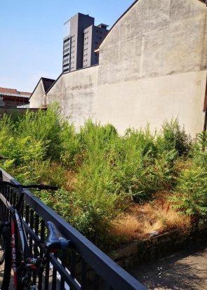 terreno edificabile in vendita a Milano