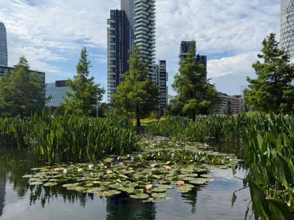 appartamento in vendita a Milano in zona Porta Garibaldi
