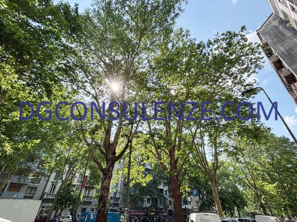 appartamento in vendita a Milano in zona Città Studi
