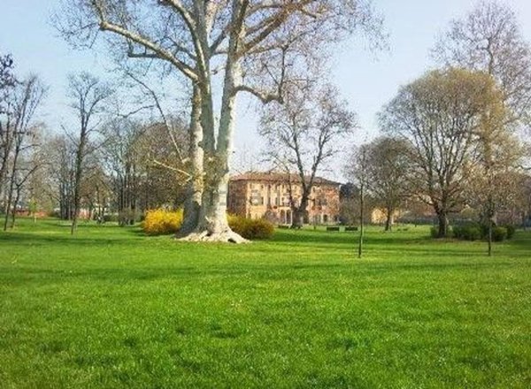 appartamento in vendita a Milano in zona Affori