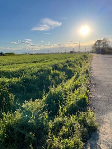 terreno agricolo in vendita a Milano