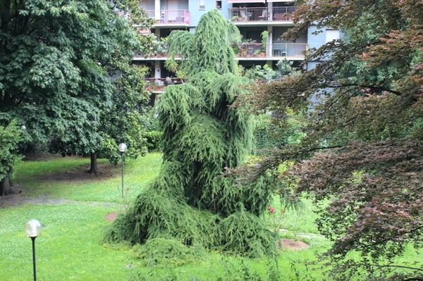 appartamento in vendita a Milano in zona Villapizzone
