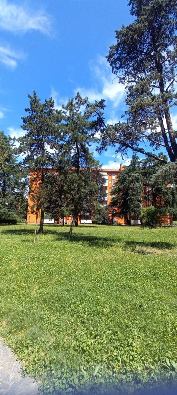 appartamento in vendita a Milano in zona Morsenchio