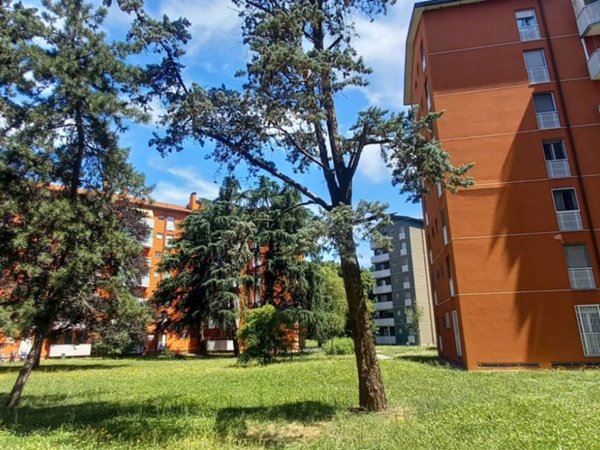 appartamento in vendita a Milano in zona Forlanini