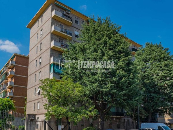 appartamento in vendita a Milano in zona Bruzzano