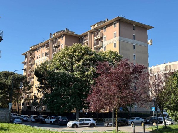 appartamento in vendita a Milano in zona Bruzzano