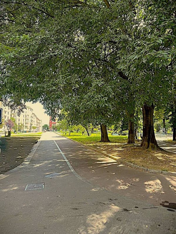 appartamento in vendita a Milano in zona Calvairate