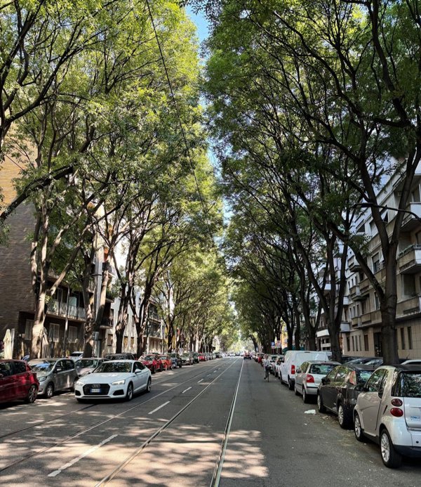 appartamento in vendita a Milano in zona Casoretto