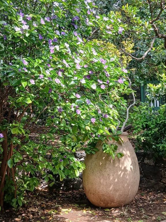 casa indipendente in vendita a Milano in zona Brera