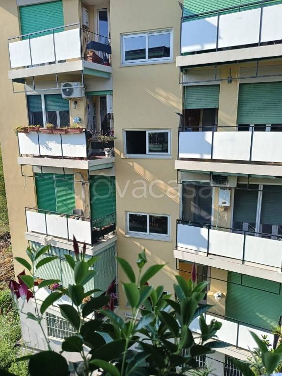 appartamento in vendita a Milano in zona Stadera