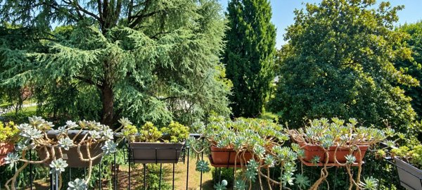 appartamento in vendita a Milano in zona Corvetto