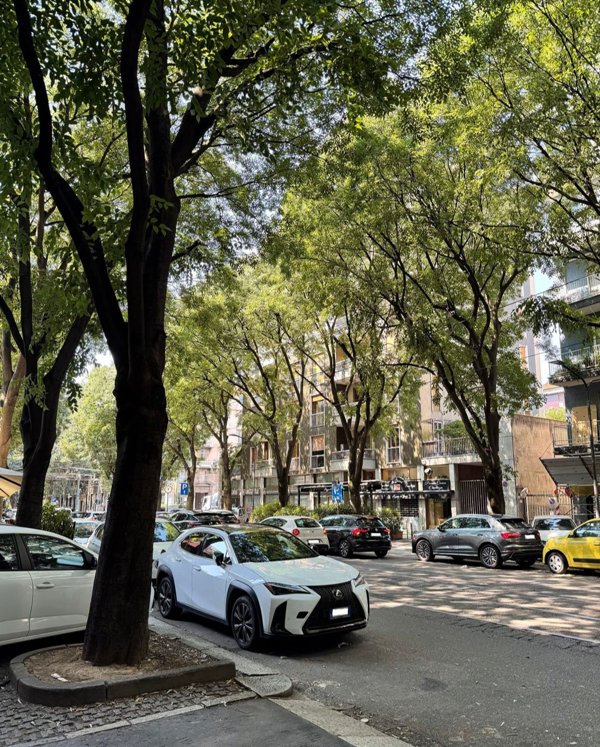appartamento in vendita a Milano in zona Casoretto