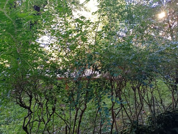 appartamento in vendita a Milano in zona Barona