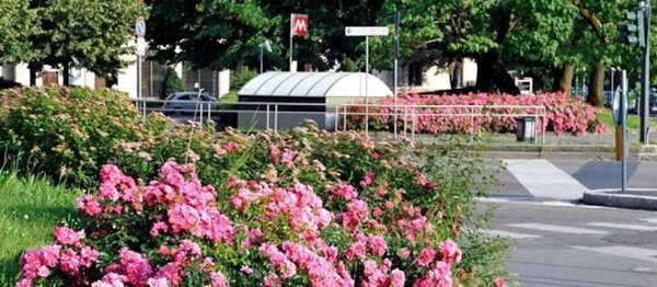appartamento in vendita a Milano in zona Bande Nere