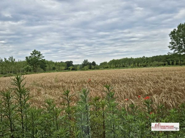 terreno agricolo in vendita a Motta Visconti