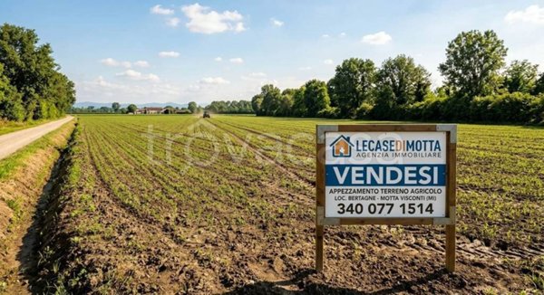 terreno agricolo in vendita a Motta Visconti