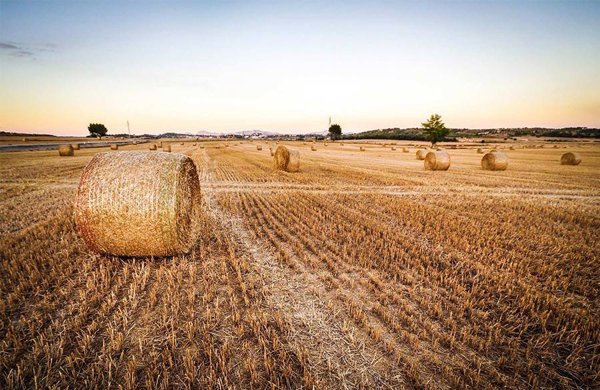terreno agricolo in vendita a Nerviano