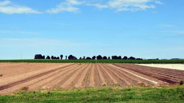 terreno agricolo in vendita a Nerviano