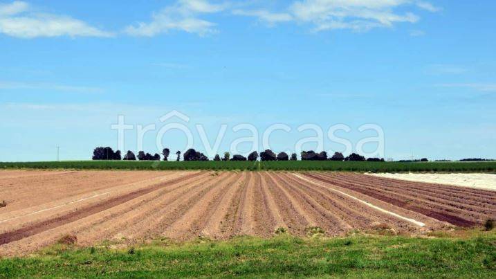 terreno agricolo in vendita a Nerviano
