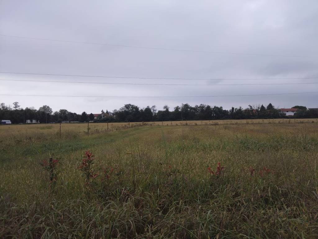 terreno agricolo in vendita a Nerviano