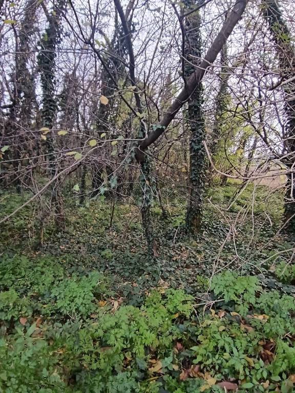 terreno edificabile in vendita a Nerviano in zona Garbatola