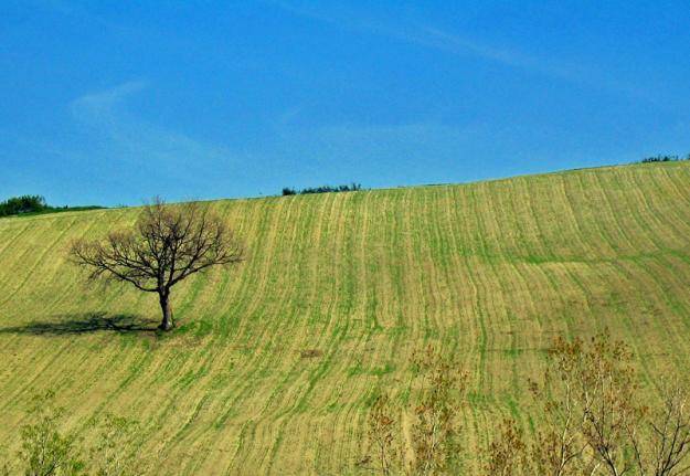 terreno agricolo in vendita a Nerviano in zona Cantone
