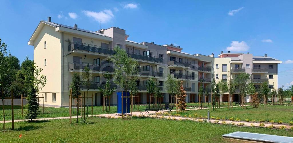 appartamento in vendita a Novate Milanese