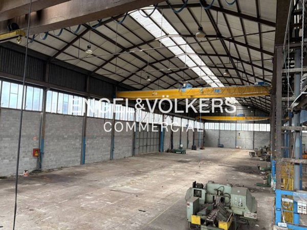 immagine annuncio 0 di 5