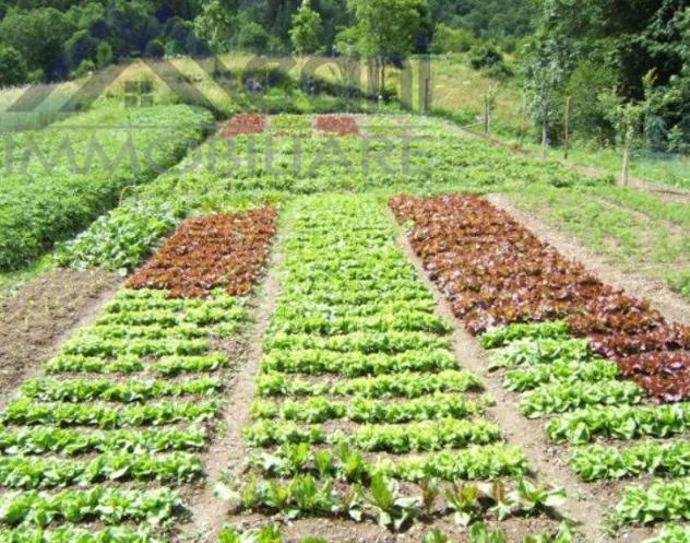 terreno agricolo in vendita ad Opera