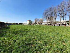 terreno agricolo in vendita ad Ossona
