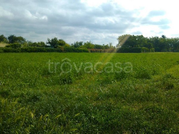 terreno edificabile in vendita ad Ossona