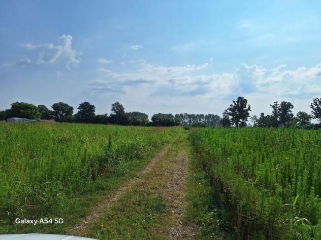terreno agricolo in vendita ad Ozzero
