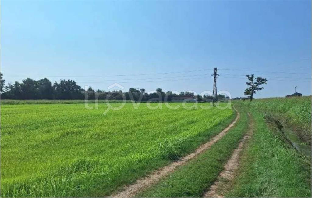 terreno agricolo in vendita ad Ozzero