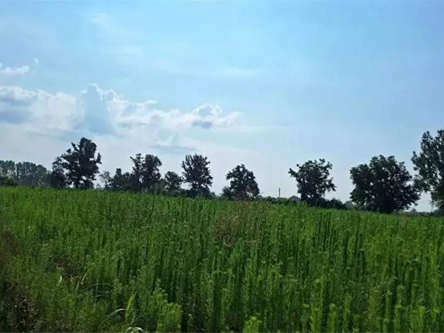 terreno agricolo in vendita ad Ozzero