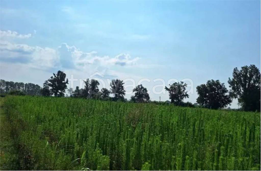 monolocale in vendita ad Ozzero