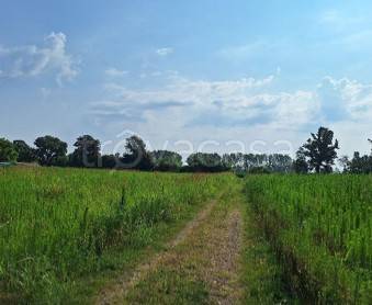 appartamento in vendita ad Ozzero