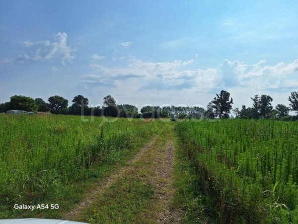 terreno agricolo in vendita ad Ozzero