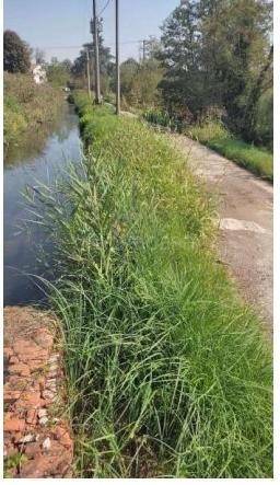 ufficio in vendita ad Ozzero