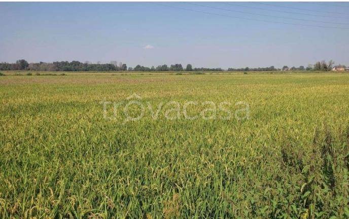 terreno agricolo in vendita ad Ozzero