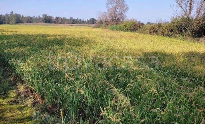 ufficio in vendita ad Ozzero