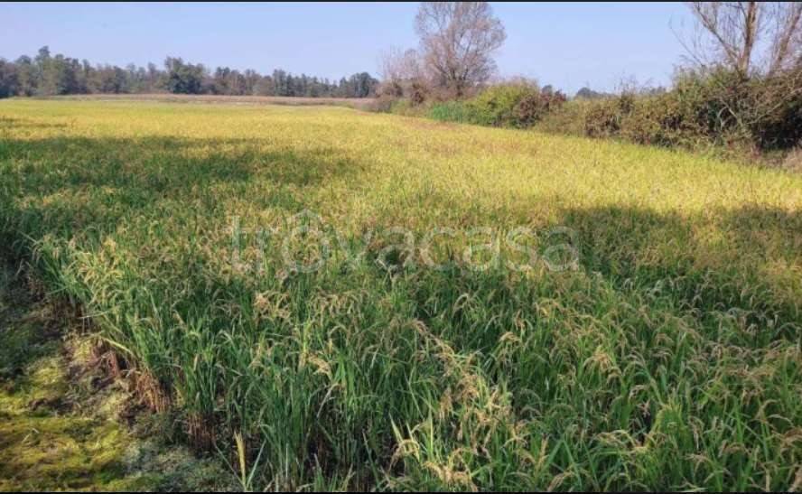 casale in vendita ad Ozzero